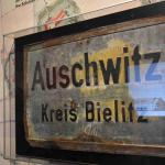 DSC_0074_00065 (June 24, 2023)